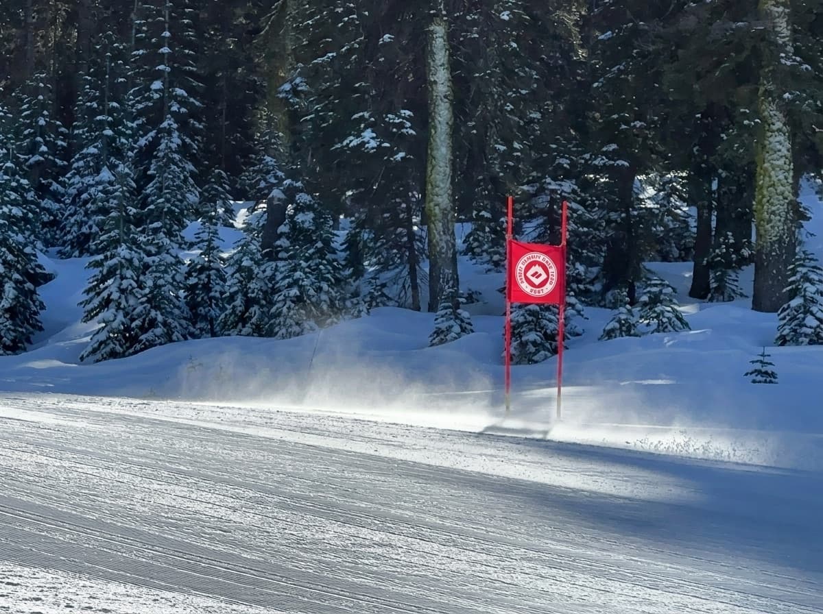 Skier racing past a Snow Summit Race Team gate on a snowy course